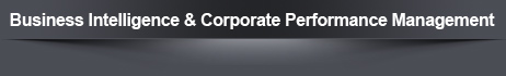 Business Intelligenence & Corporate Performance Management